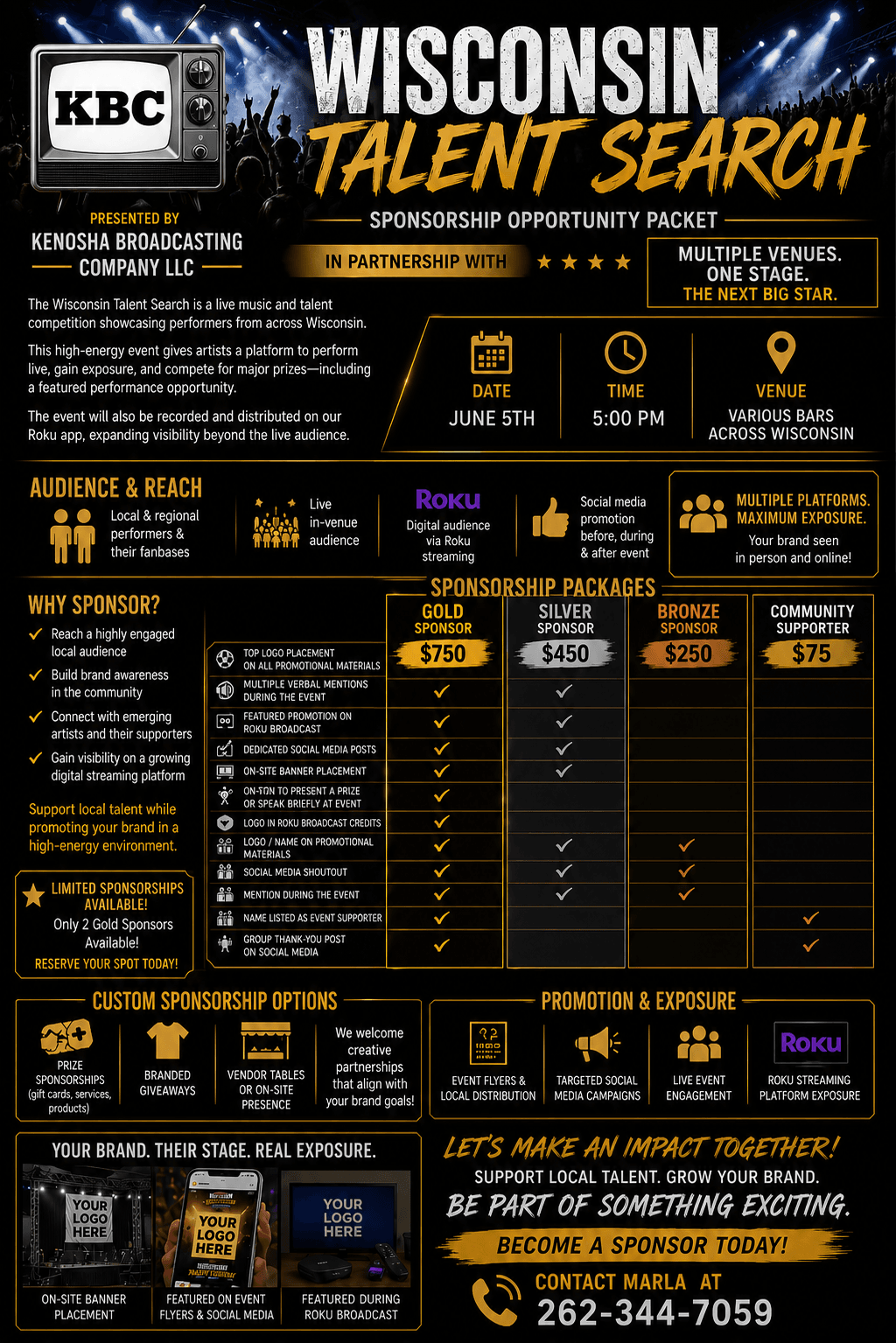Talent Search Sponsorship Packages Flyer